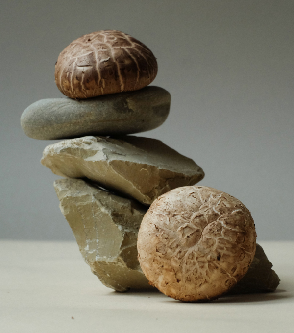 shiitake